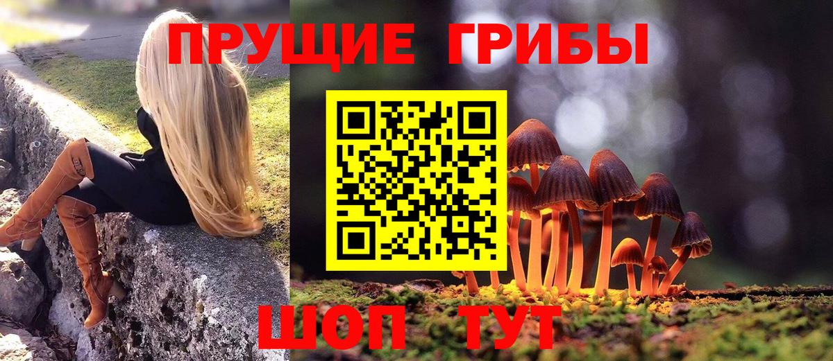 Галлюциногенные грибы Psilocybe Горячий Ключ