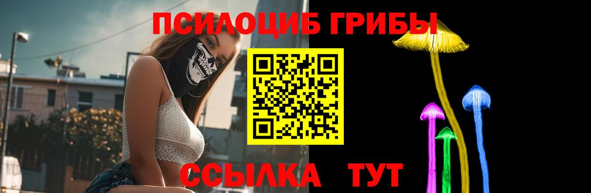 Горячий Ключ  продажа наркотиков  Вход с VPN  Галлюциногенные грибы Psilocybine cubensis 